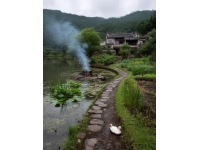 岑溪口福美食與風景之旅