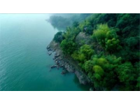 黃海之濱美食生活指南；東臺五一深度體驗。