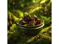 春分食韻：麥黃筋薺菜素餃，香菇松子餡，盡享春之美味