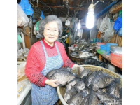 30元一條的無刺全肉魚，營養豐富補腦佳品最適合孩子吃