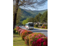 500元環游東日本！JR東日本平日旅行優惠票限時發售