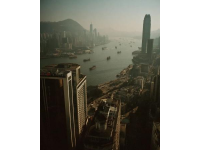 香港鼠患嚴(yán)峻：每捉一只老鼠成本約10880元，引發(fā)熱議