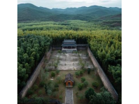 漫悅小巷民宿：體驗叢林坦克的樂趣
