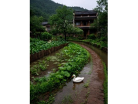 不容錯過的成都周邊熱門景區推薦，山水人文之旅從這里開始！