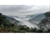 清明假期山城踏青記：十日悠然時光，探訪三潭風(fēng)景區(qū)美景