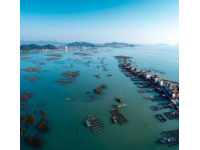 三亞之旅：十天內(nèi)發(fā)現(xiàn)景區(qū)冷清與變化