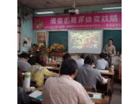 清晨官橋豆干作坊里的忙碌與傳統制作工藝