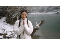 李妹妹蔥油餅逆襲人生，堅韌不屈的傳奇