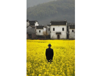 河北廊坊，男子獻血8次，卻在急用血時被告知獻血證過期，不能優先用血！男子不能