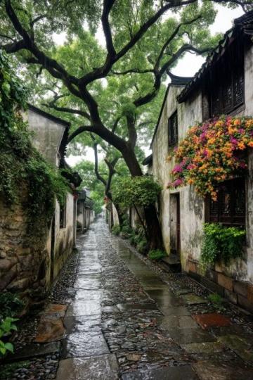 蘇州旅游山塘街攻略(蘇州旅游攻略|山塘街值得打卡小店們,山塘街一場2023年的初雪)