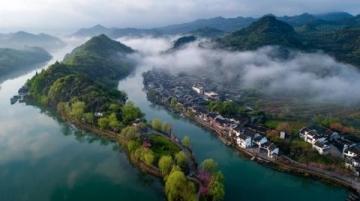 新安江畔三潭枇杷:山水間的甜蜜滋味