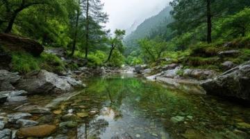 九寨溝一日游：奇幻探險之旅，開啟你的山水童話之旅