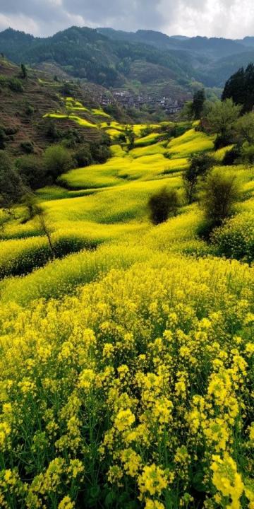 求分享！你有沒(méi)有拍過(guò)袁家村的隨手風(fēng)景照？