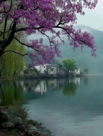 濃濃的茶香、絢爛的秋色、靜謐的湖光，開化景區(qū)有著一絲仙氣。