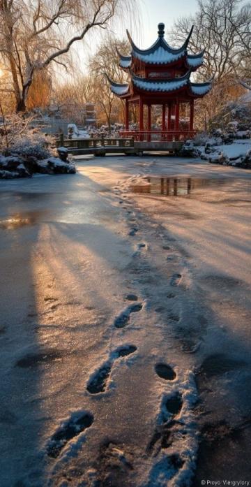 揭秘東北的趣味冷知識:冰雪藝術、方言魅力與美食風情