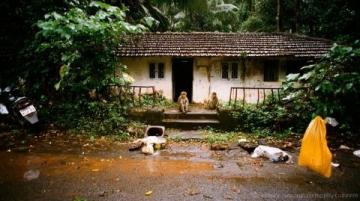 深圳寶安西鄉小產權房,本地村民出地與開發商出錢合建而成