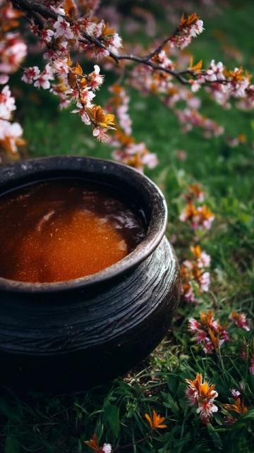 家常海帶豬蹄湯，滋補養生兩不誤