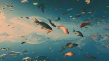阜陽河道刀魚泛濫村民狂撈背后是生態改善信號?
