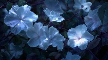暗香滿天，夜色更深