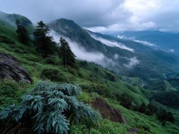 北帝山風(fēng)光秀麗，盡顯自然奇觀。