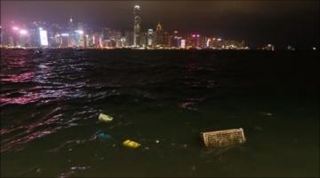 蠔友贊生蠔構建起的跨海食光