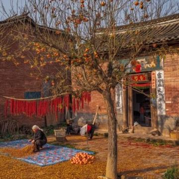 周口農村:春節前軍叔跟風種蘑菇村民:他們家常年的生意