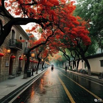 上海周末游橫店攻略:深度探訪廣州街與香港街景區體驗