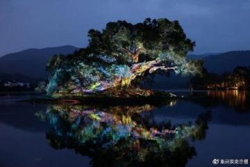 南京銀杏湖：自然與人文的和諧交融