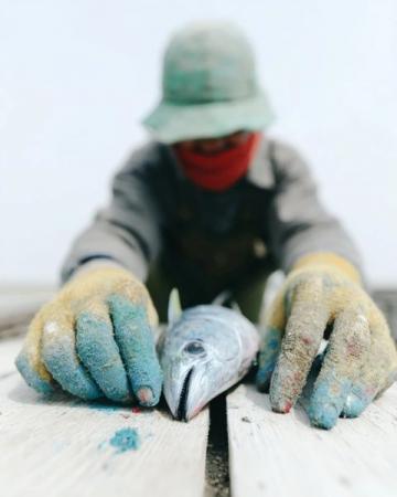 阜陽河道刀魚泛濫村民狂撈背后是生態改善信號?