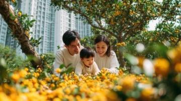 實況記錄云端花園的春日盛景：杜鵑花海、親子活動與自然之美