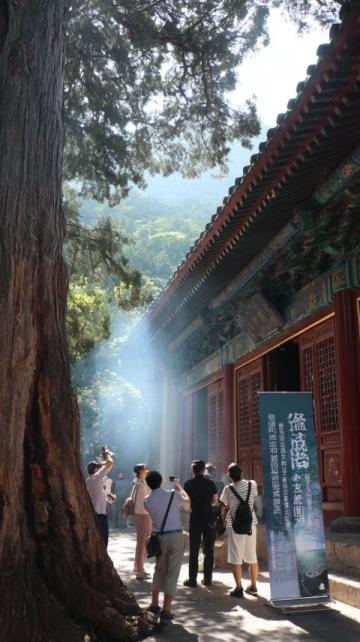 廣東揭陽旅游攻略自由行(廣東揭陽旅游攻略)