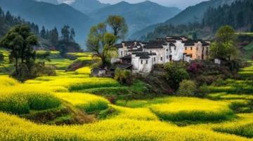 皖南春節之旅,體驗非凡韻味年節