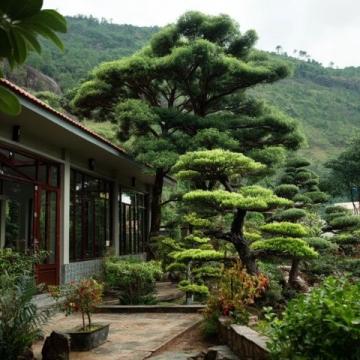 到高密城郊雙羊鎮云來山莊,品農家樂的野味盛宴