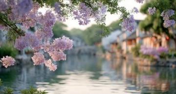 2025廣州踏春指南：十大美景邂逅浪漫花海