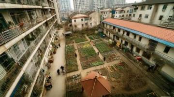 自貢國企新建農(nóng)貿(mào)市場緩解南湖中區(qū)居民購物難題