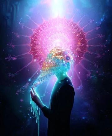 震驚！七大逆天冷知識揭秘，末一條令人瞠目結舌！