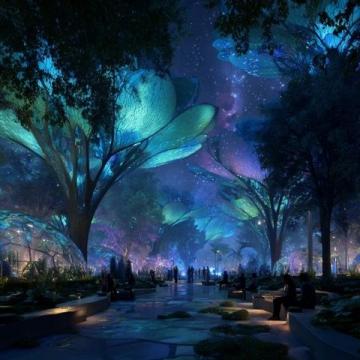 南昌首個文旅觀光夜市"楓林夜間集市"將于2025年開業