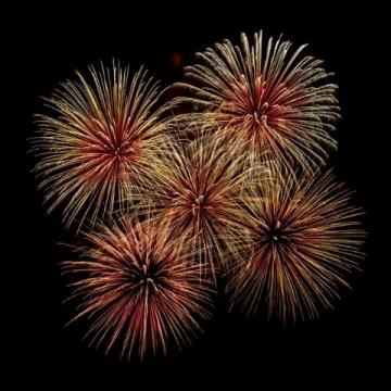 春節(jié)防火篇煙花雖美安全最重要