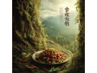 小廟龍湖地塊案名揭曉，美食城小區地塊信息公示