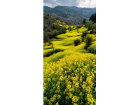 求分享！你有沒(méi)有拍過(guò)袁家村的隨手風(fēng)景照？