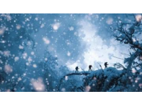 金佛山耍雪攻略：兩天一夜玩樂指南來襲！