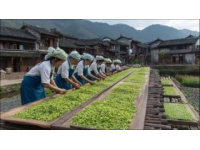 貴州黔南的酒席之道！全憑自己動(dòng)手炒菜，口味隨心所欲