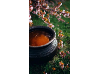 家常海帶豬蹄湯，滋補養生兩不誤