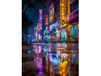 第三日臨沂游：夜探新瑯琊繁華美景