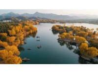 五一自駕游山東東平湖環(huán)湖賞美景