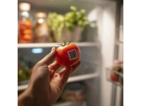 十大食品安全小常識,字數在10到40個字之間。
