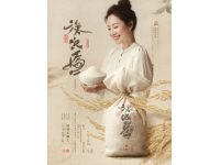 廣西風(fēng)味：探索五種傳統(tǒng)與創(chuàng)新的特色湯圓美味
