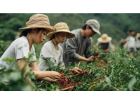 廣西風味之旅：埃文凱爾探尋酸筍秘境與美食奇跡