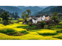 皖南春節之旅，體驗非凡韻味年節