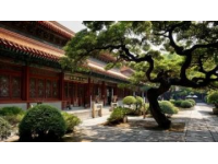 蘇州周邊游好去處常熟沙家浜：溫情脈脈最美江南